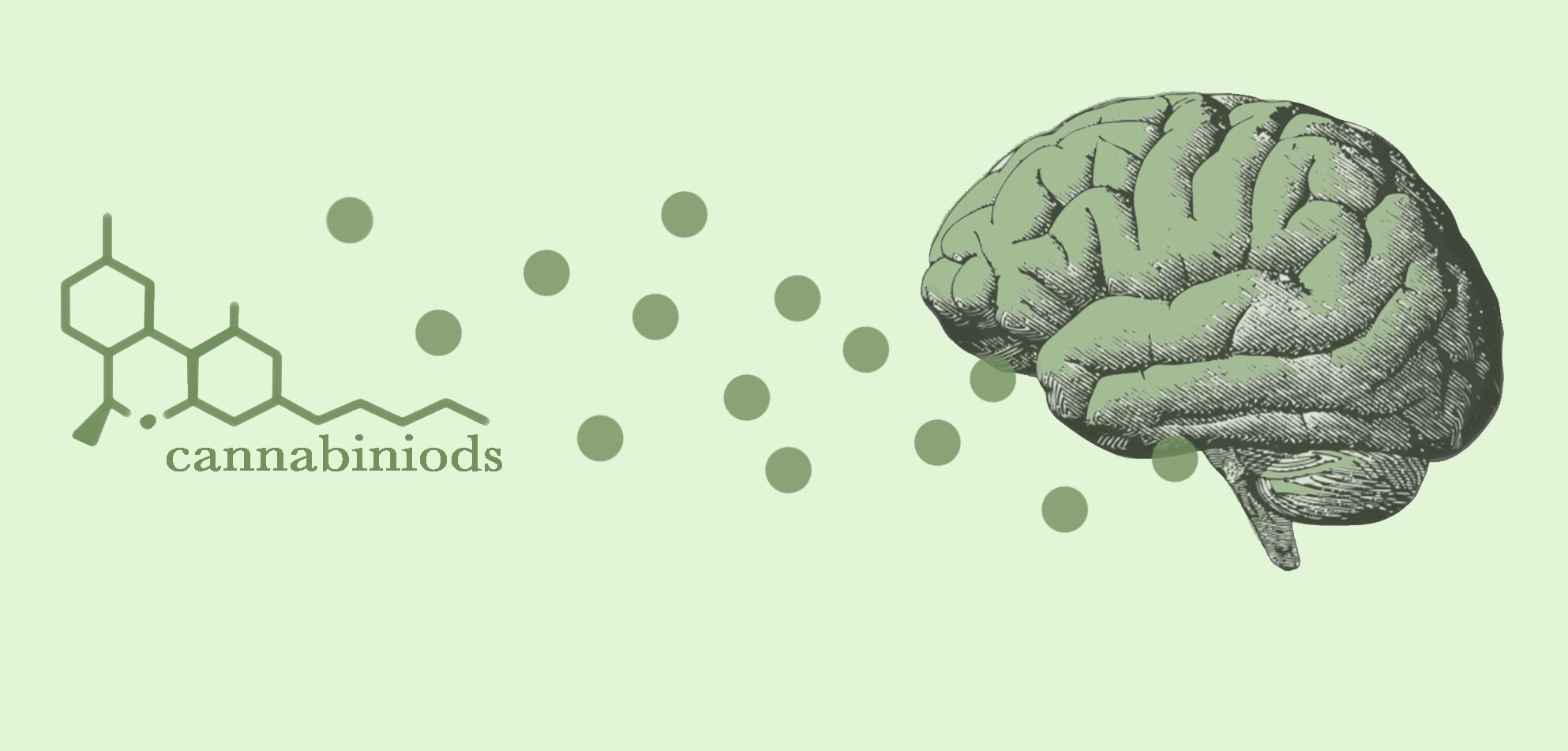 cbd brain health